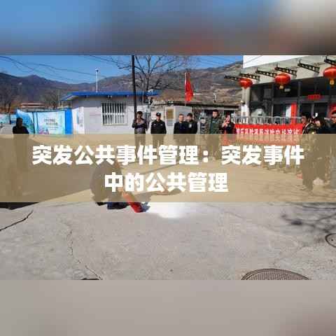 突发公共事件管理:突发事件中的公共管理