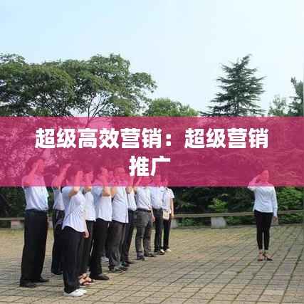 超级高效营销:超级营销推广