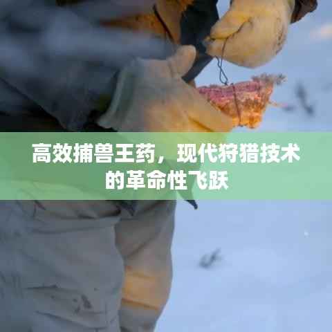 高效捕兽王药,现代狩猎技术的革命性飞跃