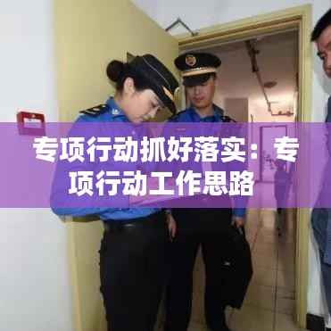 专项行动抓好落实：专项行动工作思路 