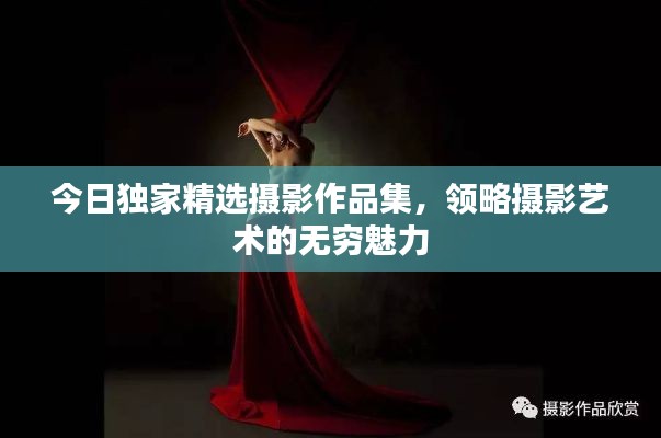 今日独家精选摄影作品集,领略摄影艺术的无穷魅力