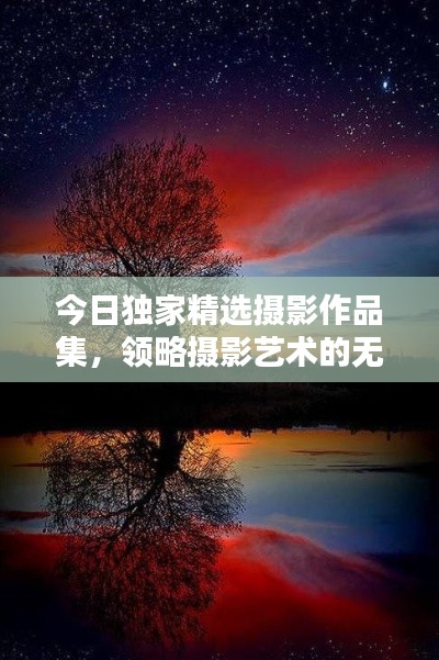 今日独家精选摄影作品集,领略摄影艺术的无穷魅力