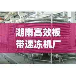 湖南高效板带速冻机厂家：湖南高效板带速冻机厂家排名 