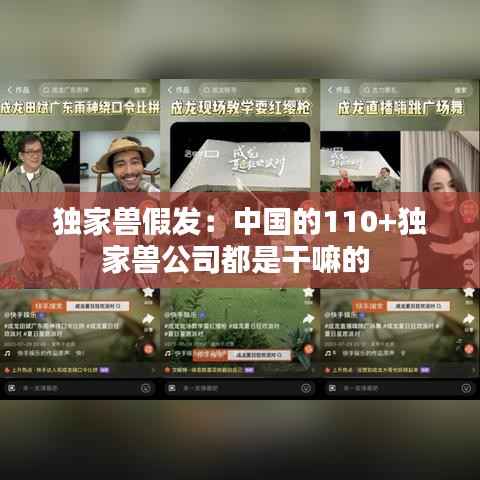 独家兽假发：中国的110+独家兽公司都是干嘛的 