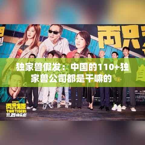 独家兽假发:中国的110+独家兽公司都是干嘛的