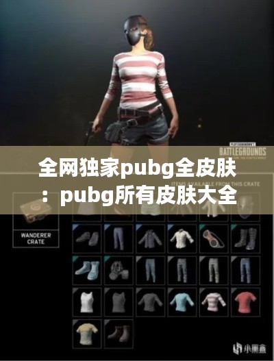 全网独家pubg全皮肤：pubg所有皮肤大全 