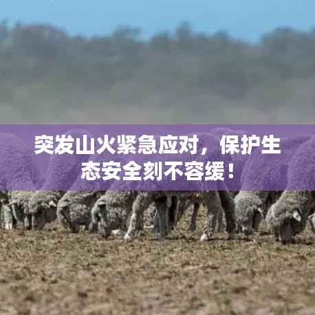 突发山火紧急应对,保护生态安全刻不容缓!