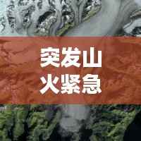 突发山火紧急应对,保护生态安全刻不容缓!