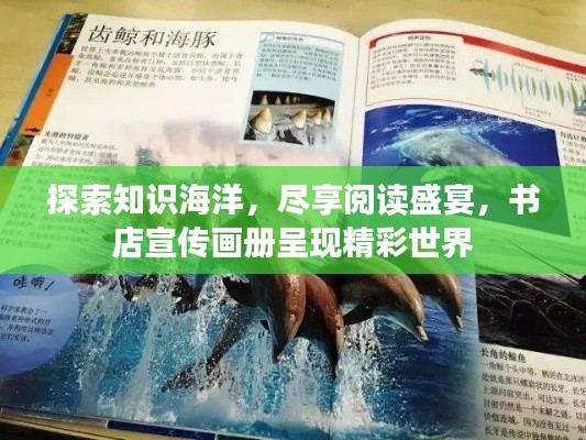 探索知识海洋,尽享阅读盛宴,书店宣传画册呈现精彩世界