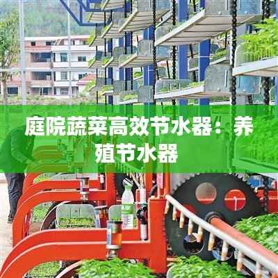 庭院蔬菜高效节水器:养殖节水器