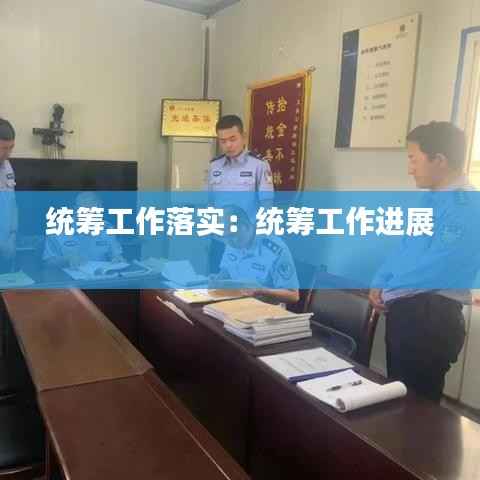 统筹工作落实:统筹工作进展