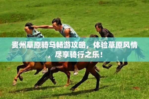 贵州草原骑马畅游攻略,体验草原风情,尽享骑行之乐!