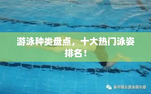 游泳种类盘点,十大热门泳姿排名!