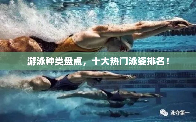 游泳种类盘点,十大热门泳姿排名!