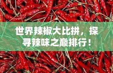 世界辣椒大比拼,探寻辣味之巅排行!
