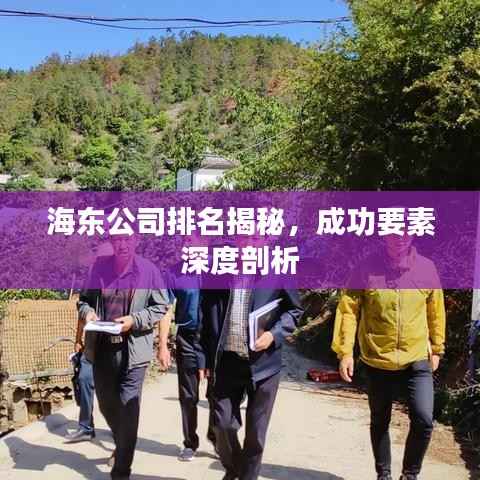 海东公司排名揭秘,成功要素深度剖析