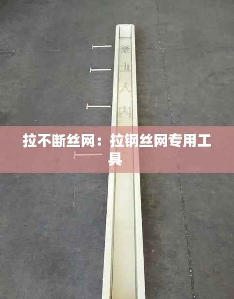 各就各位 第5页