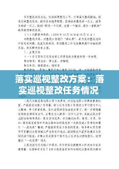 落实巡视整改方案:落实巡视整改任务情况