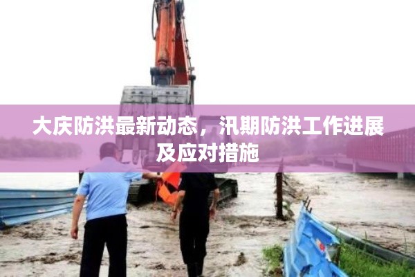 大庆防洪最新动态,汛期防洪工作进展及应对措施