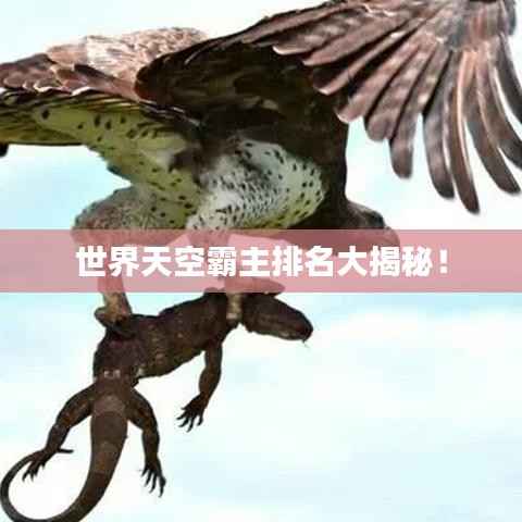 世界天空霸主排名大揭秘!