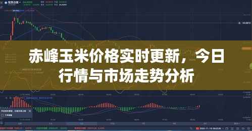 赤峰玉米价格实时更新,今日行情与市场走势分析