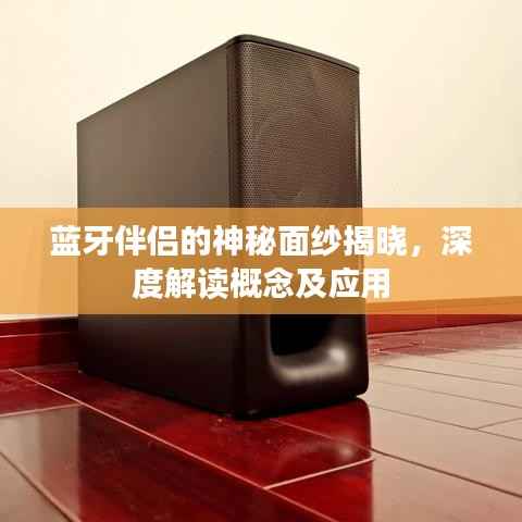 蓝牙伴侣的神秘面纱揭晓，深度解读概念及应用