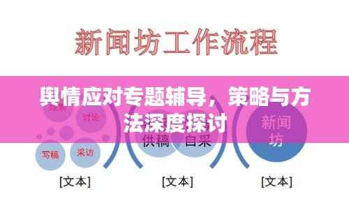 舆情应对专题辅导，策略与方法深度探讨