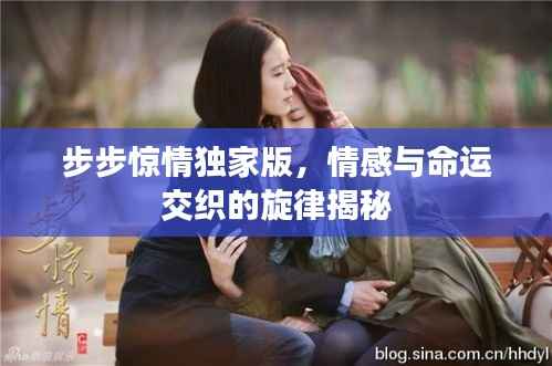 步步惊情独家版,情感与命运交织的旋律揭秘