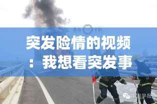 突发险情的视频:我想看突发事件