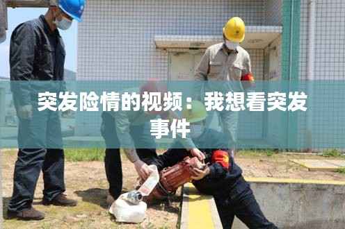 突发险情的视频:我想看突发事件