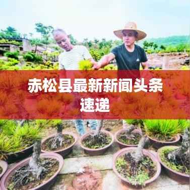 知错就改 第4页