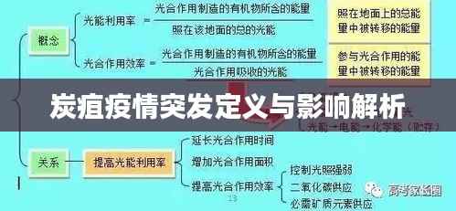 炭疽疫情突发定义与影响解析