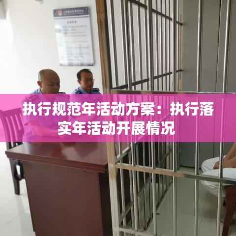执行规范年活动方案:执行落实年活动开展情况