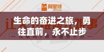 生命的奋进之旅,勇往直前,永不止步