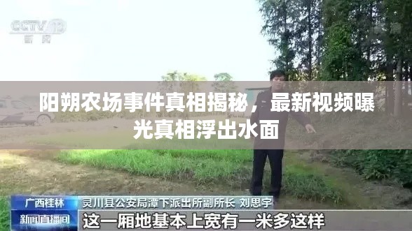 阳朔农场事件真相揭秘,最新视频曝光真相浮出水面