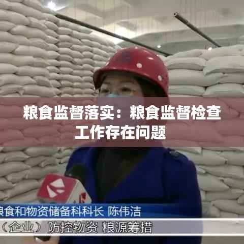 粮食监督落实:粮食监督检查工作存在问题