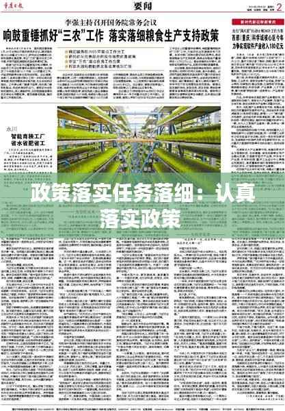 政策落实任务落细:认真落实政策