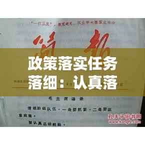 政策落实任务落细:认真落实政策