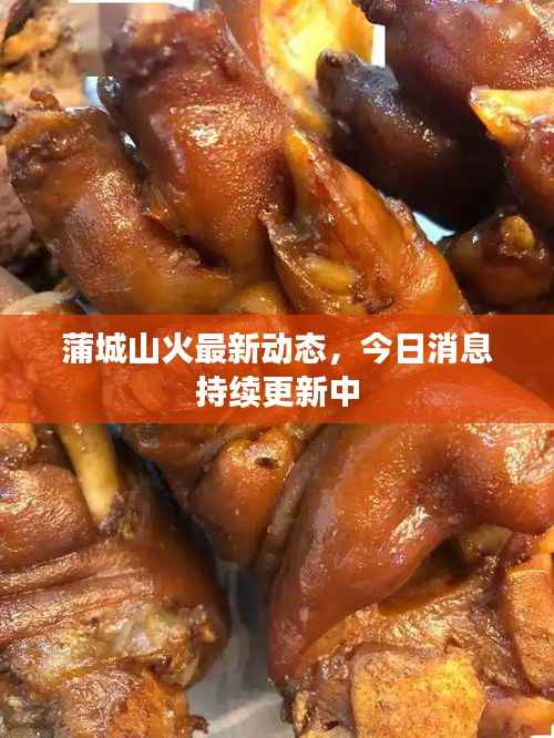 蒲城山火最新动态,今日消息持续更新中