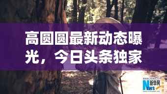 高圆圆最新动态曝光,今日头条独家揭秘