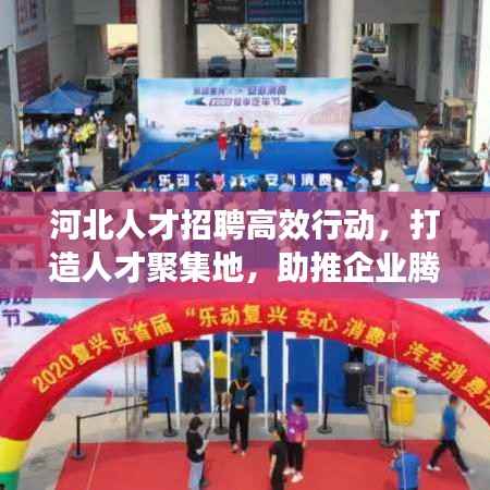 河北人才招聘高效行动，打造人才聚集地，助推企业腾飞发展
