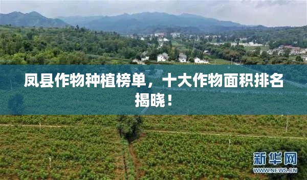凤县作物种植榜单，十大作物面积排名揭晓！