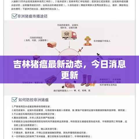 吉林猪瘟最新动态，今日消息更新