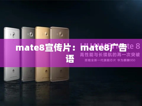 mate8宣传片:mate8广告语