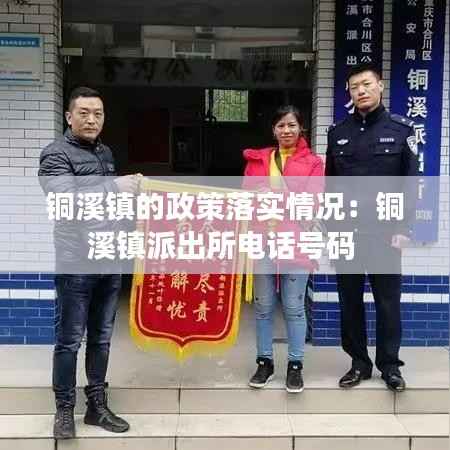 铜溪镇的政策落实情况：铜溪镇派出所电话号码 
