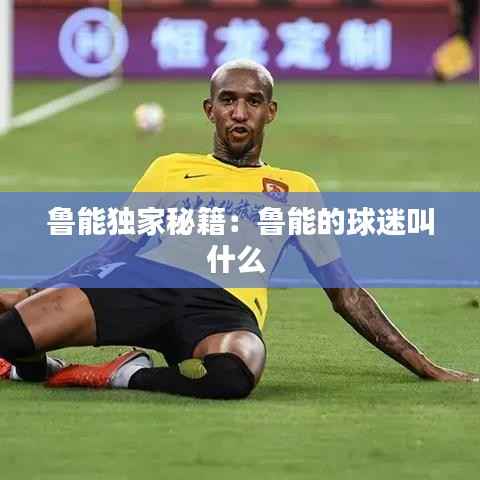 鲁能独家秘籍:鲁能的球迷叫什么