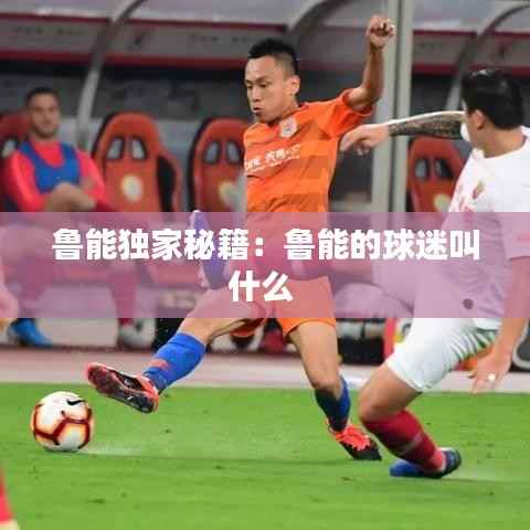 鲁能独家秘籍:鲁能的球迷叫什么