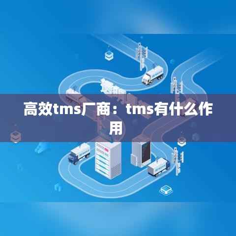 高效tms厂商:tms有什么作用