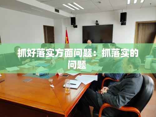 抓好落实方面问题:抓落实的问题