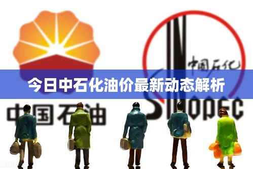 今日中石化油价最新动态解析
